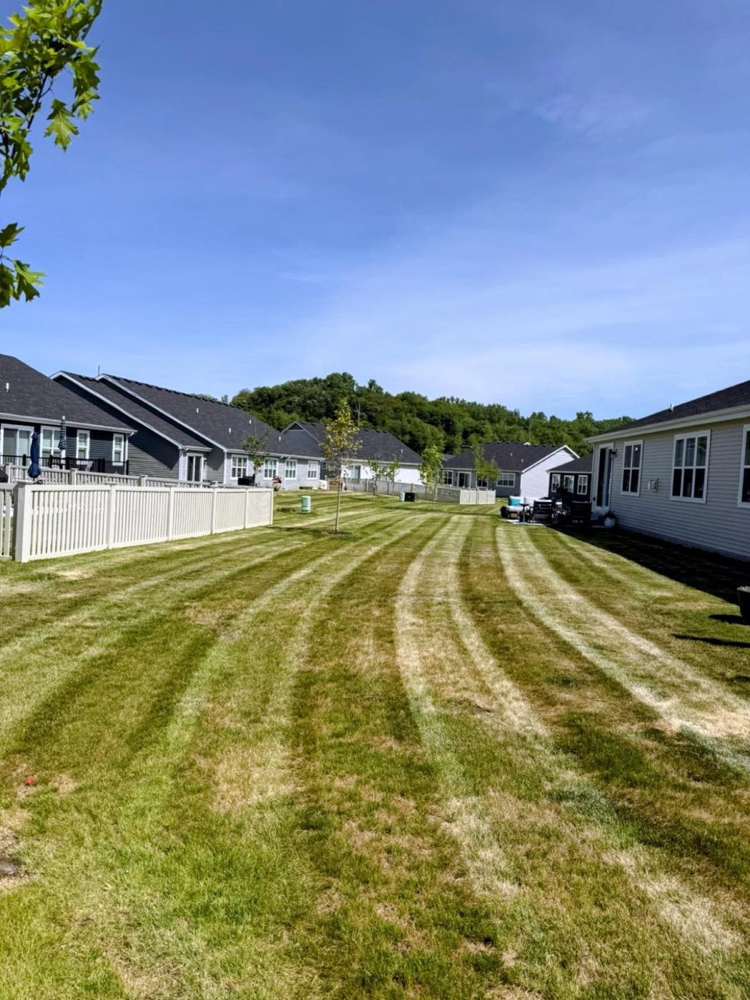 Striped backyard lawn between two homes, wider angle