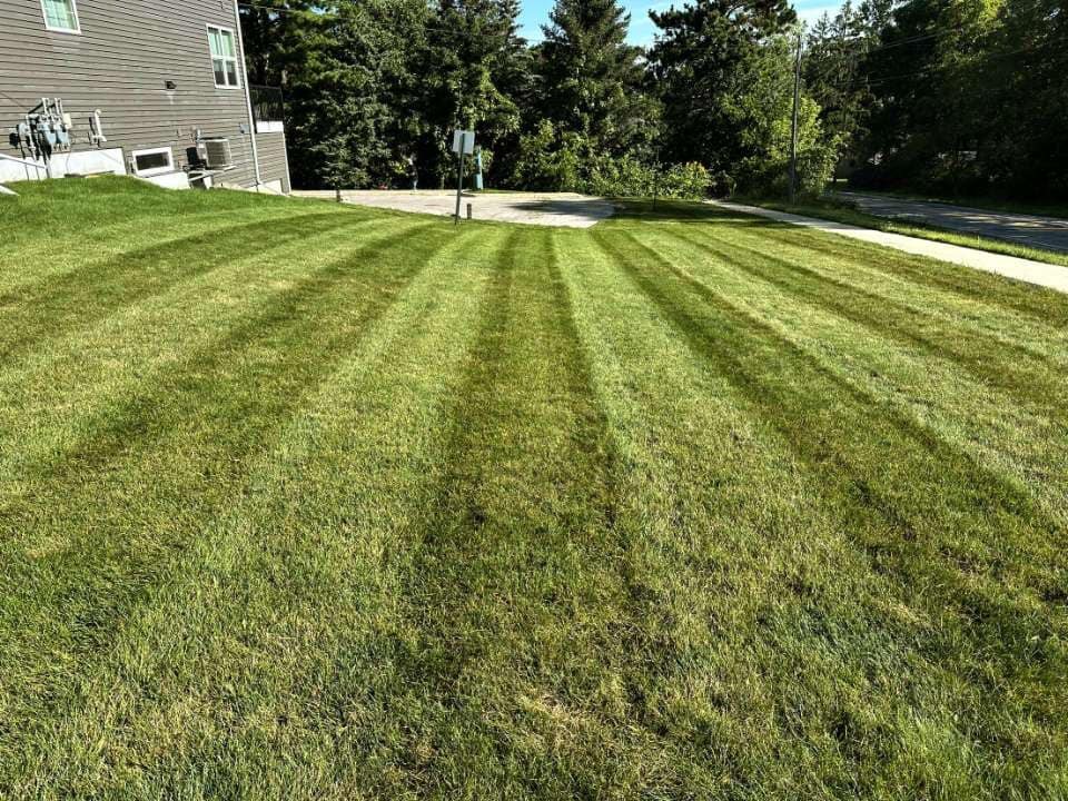 Striped lawn along a driveway