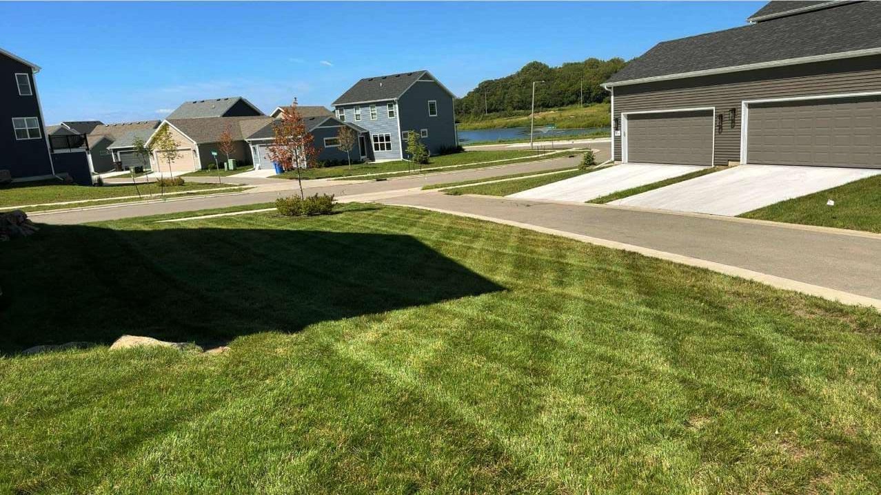 Long mowed stripes stretching across a lawn