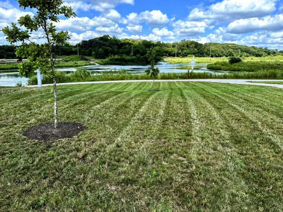 Striped lawn beside a pond