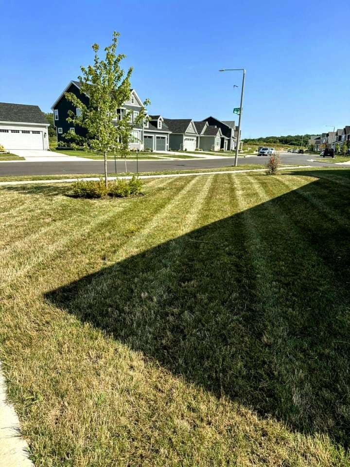 Striped lawn along a sidewalk
